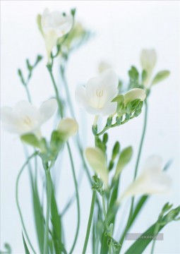 Von Fotos Realistisch Werke - Weiße Blumen von Fotos Kunst Malerei